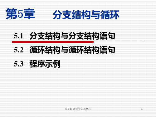 vb第5章 选择分支与循环PPT课件