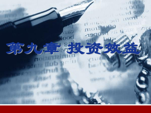 第八章 投资效益