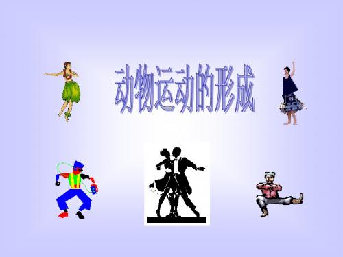 动物运动的形成 PPT课件