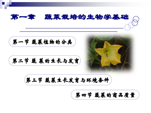 第一章蔬菜栽培的生物学基础