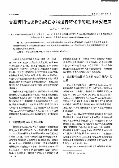 甘露糖阳性选择系统在水稻遗传转化中的应用研究进展