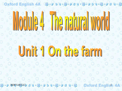 4A Module 4 Unit 1 Period3PPT课件