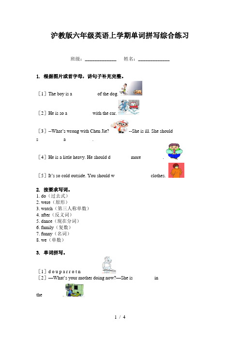 沪教版六年级英语上学期单词拼写综合练习
