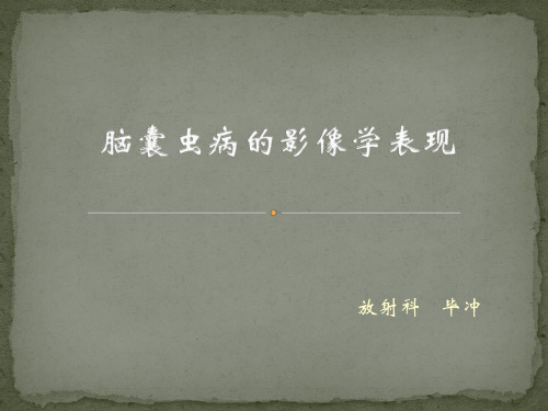 脑囊虫病的影像学诊断