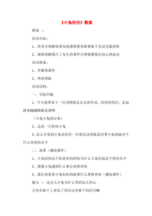 《小兔怕怕》教案