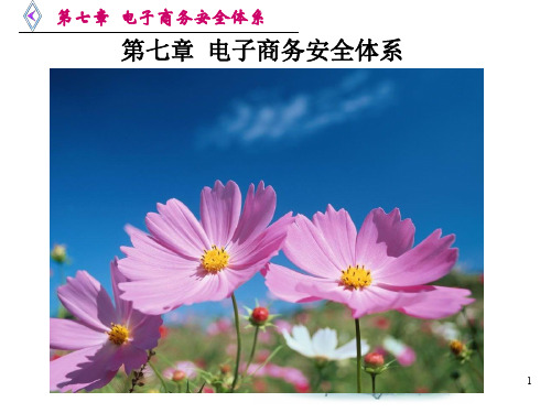 电子商务系统安全与安全技术(ppt 100页)