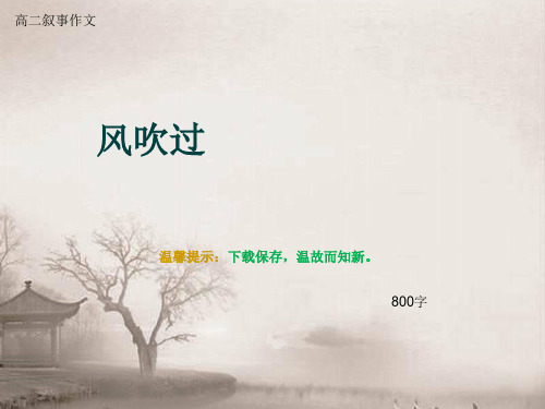 高二叙事作文《风吹过》800字