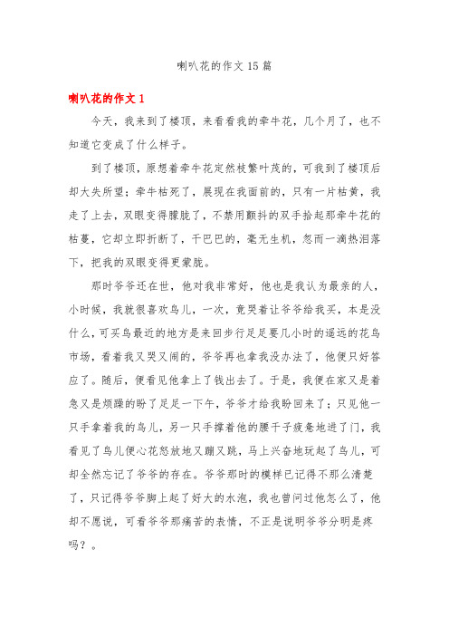 喇叭花的作文15篇