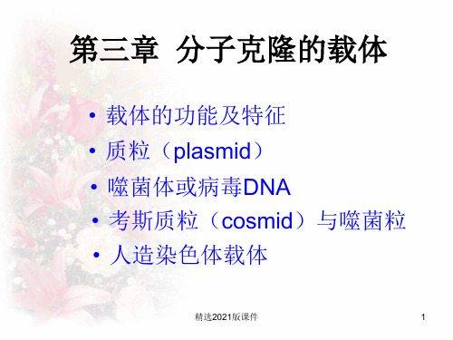 第三章 分子克隆的载体