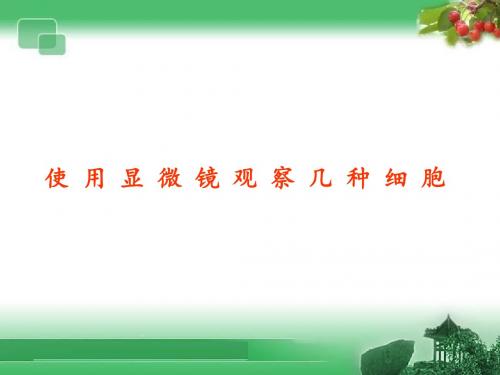 最新人教版必修一高中生物《使用高倍显微镜观察几种细胞》课件