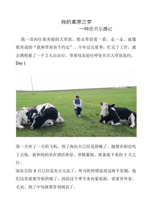 我的草原之梦