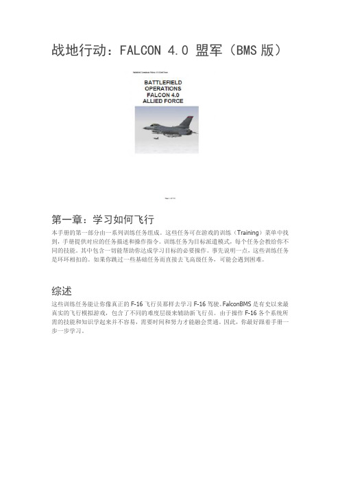 战地行动：FALCON 4.0 盟军(BMS版)一
