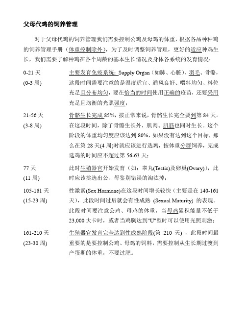 种鸡管理