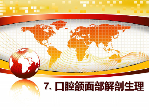 最新7. 口腔颌面部解剖生理PPT课件