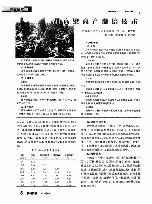 甜高粱高产栽培技术