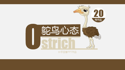 哲理故事鸵鸟心态模板PPT课件(13页)