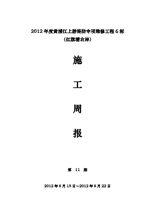项目施工周报范本