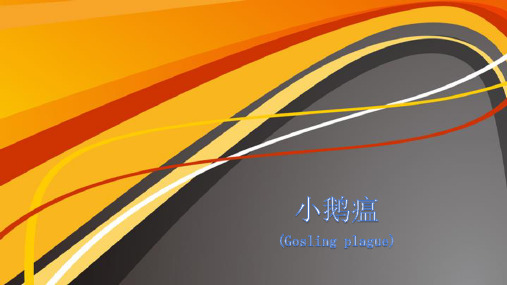 【禽类传染病】小鹅瘟