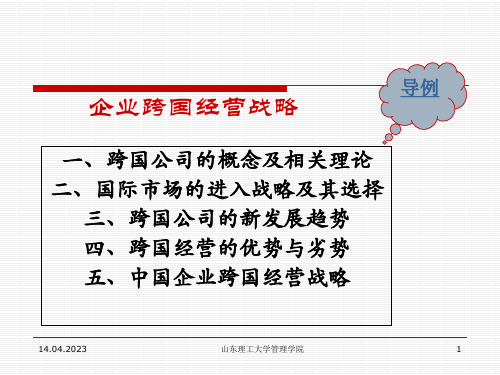跨国经营战略专题