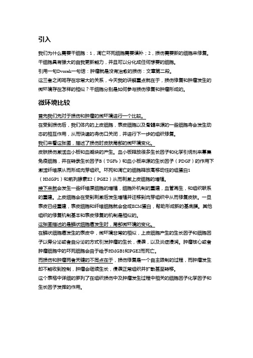 上皮干细胞综述