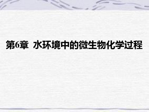 水环境化学-6 水环境中的微生物化学过程