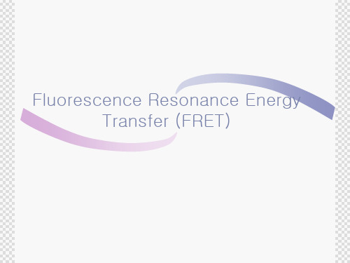 Fluorescence Resonance Energy Transfer (FRET)荧光共振能量转移(FRET)