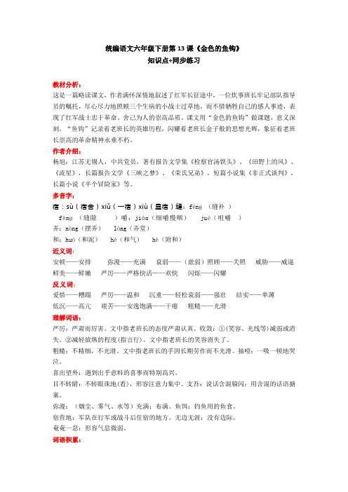 部编版语文六年级下册第13课《金色的鱼钩》知识点+同步练习