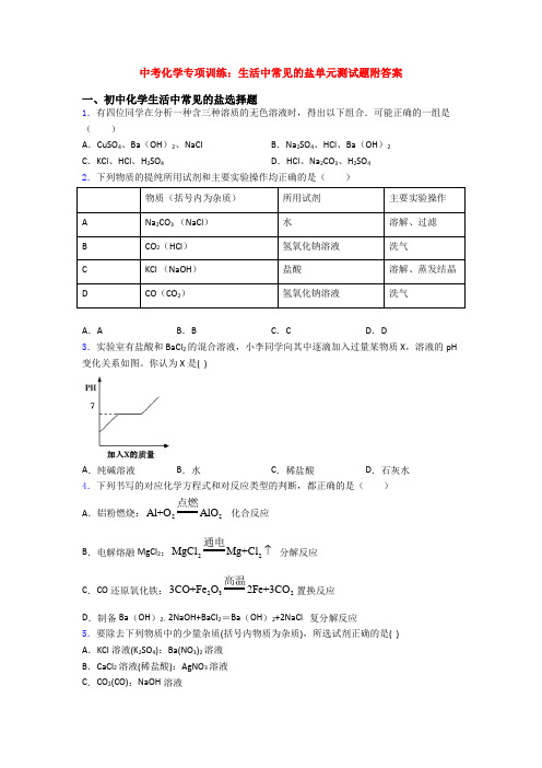 中考化学专项训练：生活中常见的盐单元测试题附答案