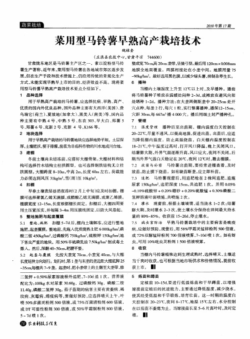 菜用型马铃薯早熟高产栽培技术