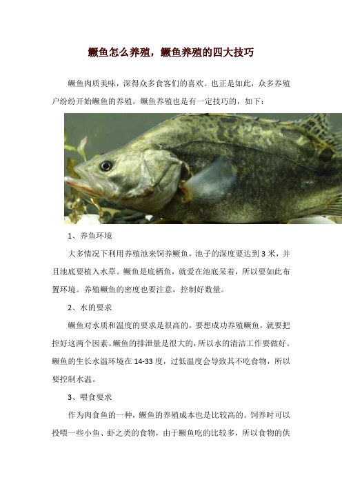 鳜鱼怎么养殖,鳜鱼养殖的四大技巧