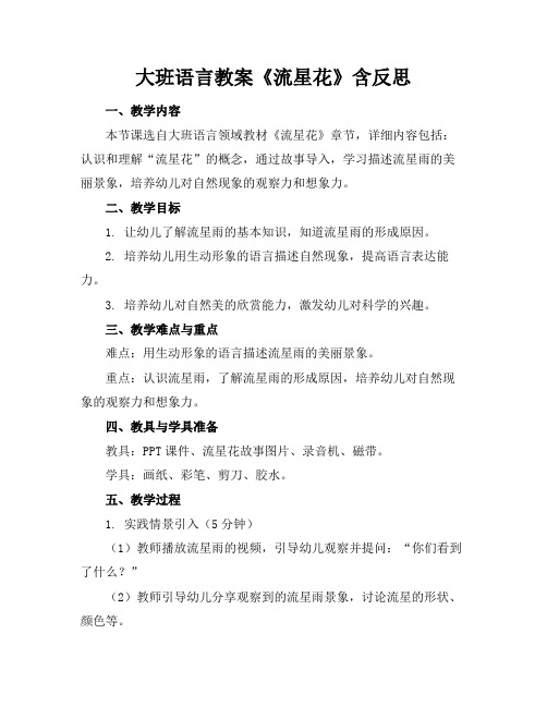 大班语言教案《流星花》含反思