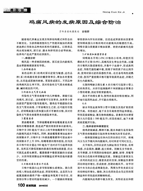 鸡痛风病的发病原因及综合防治