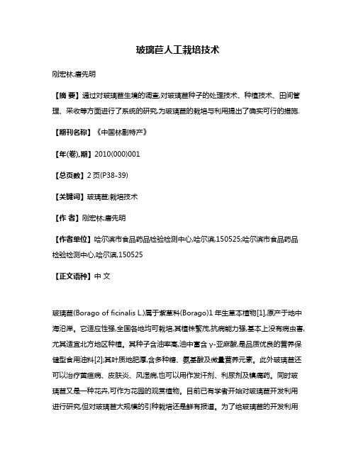 玻璃苣人工栽培技术