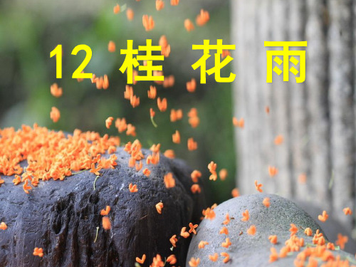 苏教版四年级语文上册《桂花雨》课件