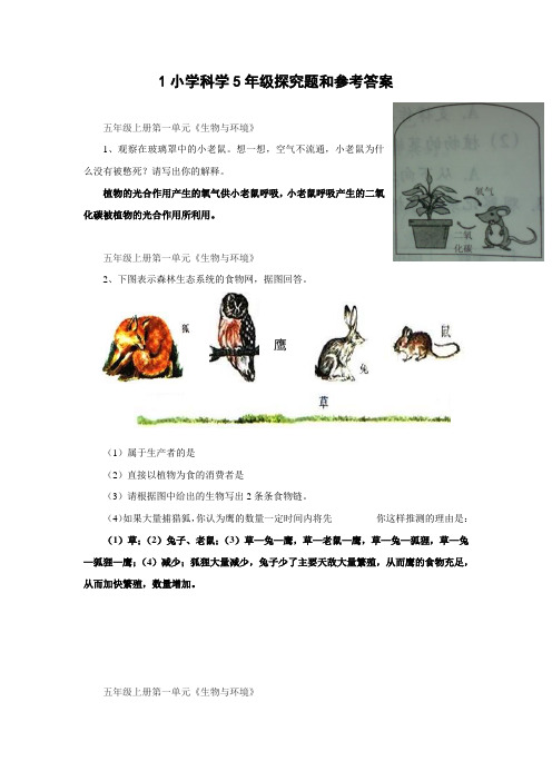 小学科学5年级探究题和参考答案