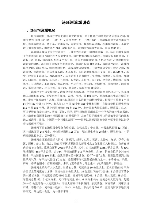 汤旺河流域调查