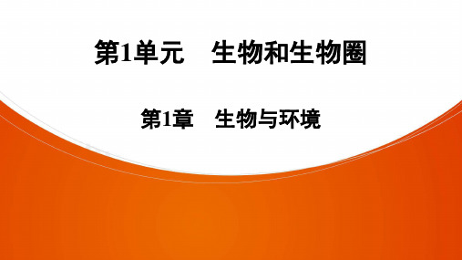 2021中考广东专用生物一轮知识点复习第1单元 第1章 生物与环境 课件