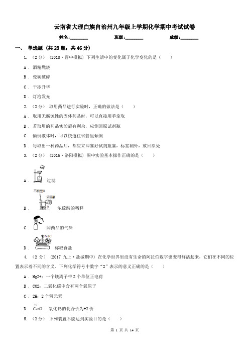 云南省大理白族自治州九年级上学期化学期中考试试卷