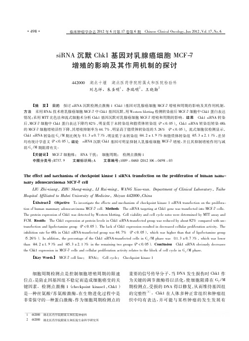 siRNA沉默Chk1基因对乳腺癌细胞MCF_7增殖的影响及其作用机制的探讨