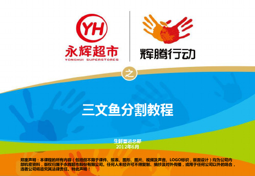 YH-SX-SC-HX(三文鱼分割教程)