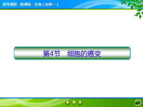 高考调研精讲精练人教必修1生物6-4