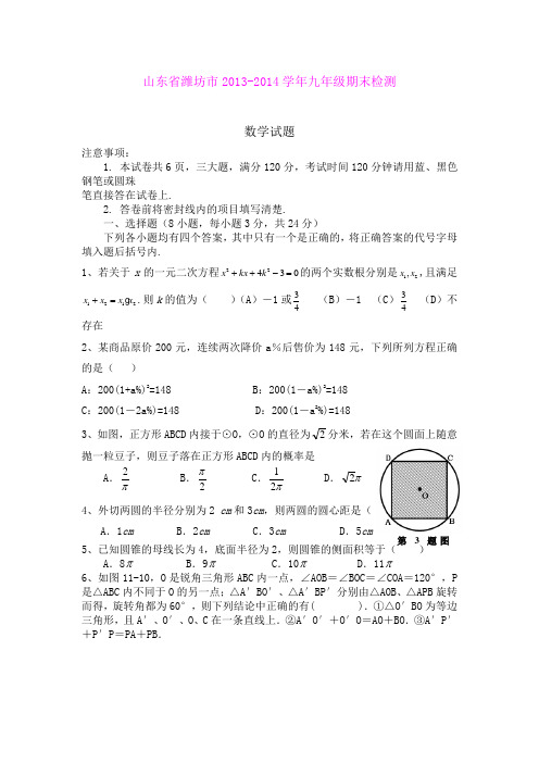山东省潍坊市2013-2014学年九年级期末检测数学试题