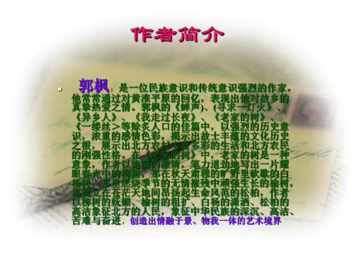 六年级语文上册第八单元空山鸟语PPT课件3湘教版