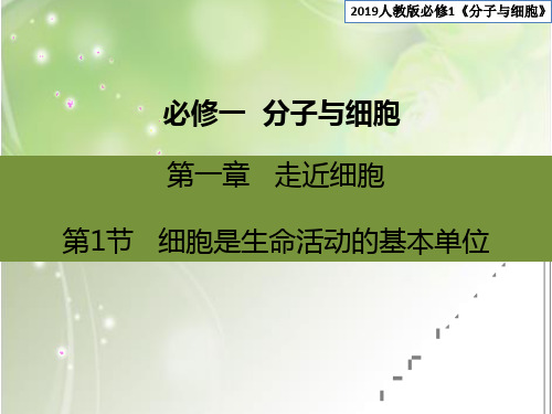 人教版新教材《细胞是生命活动的基本单位》教学课件1