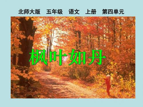 北师大版五年级语文上册《枫叶如丹》优质课PPT课件PPT、优质教学课件