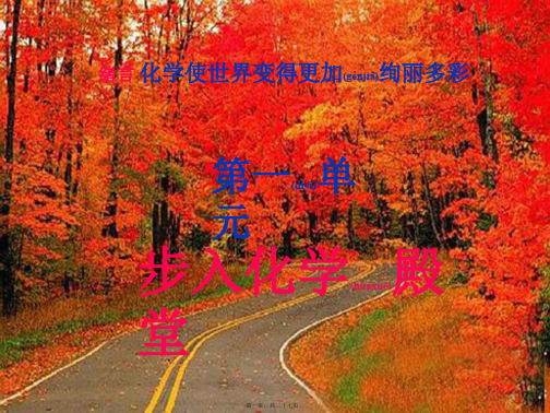 九年级化学上册 第一单元 步入化学殿堂课件