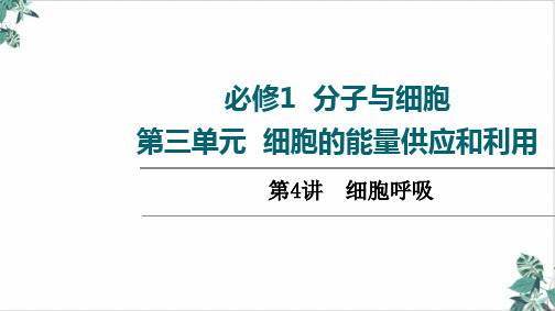 高三一轮复习生物高考苏教版全国通用知识点复习第细胞呼吸课件