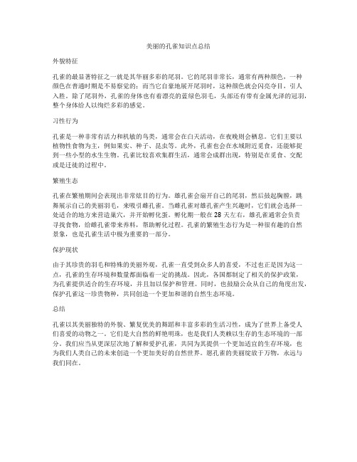 美丽的孔雀知识点总结