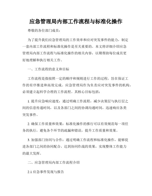 应急管理局内部工作流程与标准化操作