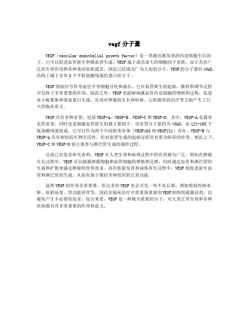 vegf分子量